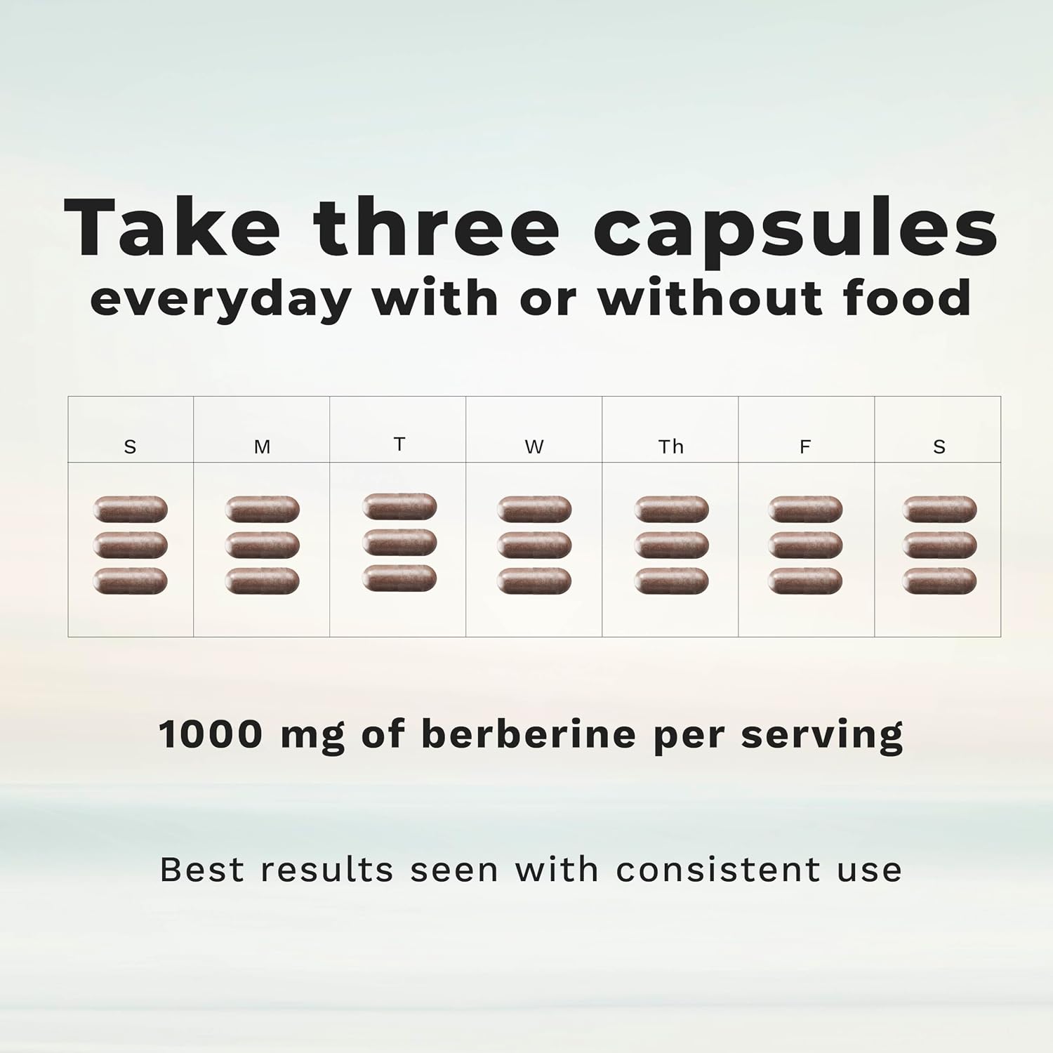 LifeSeasons Berberina 1000 mg - 90 Cápsulas - Apoyo para el Bienestar General