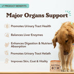 Suplemento Hepático y Renal para Perros – 90 Masticables Blandos con Cardo Mariano, Arándano Rojo, Diente de León, Cúrcuma y Astrágalo