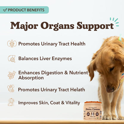 Suplemento Hepático y Renal para Perros – 90 – Arándano rojo (Vaccinium macrocarpon): Rico en antioxidantes y – Image 2