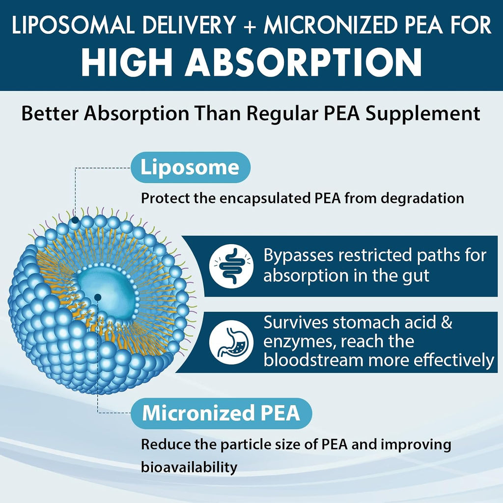 Ulmubra Palmitoiletanolamida Liposomal 1300 mg + Luteolina 100 mg, 60 Cápsulas Blandas