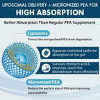 Ulmubra Palmitoiletanolamida Liposomal 1300 mg + Luteolina 100 mg, 120 Cápsulas Blandas