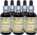 Extracto Líquido de Mucuna Pruriens (Mucuna Pruriens) - Tintura de Semillas Secas - 5 x 60 ml