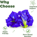 H&C Shankhpushpi Powder (Convolvulus pluricaulis) 227g - Suplemento Ayurvédico para Memoria y Concentración