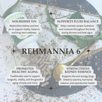 Liu Wei Di Huang Wan, Rehmannia 6, Six Flavor Rehmannia, 100 Cápsulas Vegetales