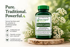 Yarrow Flower, 90 VCaps, Non-GMO, Gluten-Free, (Pack of 1)