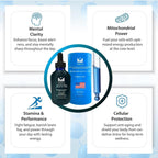 Valboren Labs Azul de Metileno 2% Grado Farmacéutico - Libre de Formaldehído y Alcohol - Suplemento Alimenticio - 118 ml