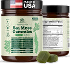 Natural Rems Sea Moss Gummies 16-in-1 - Ashwagandha Black Seed Oil Bladder Wrack Turmeric Vitamin C & D3 with Manuka Burdock Root Dandelion Yellow Dock Elderberry Apple Cider Vinegar (Green Apple)