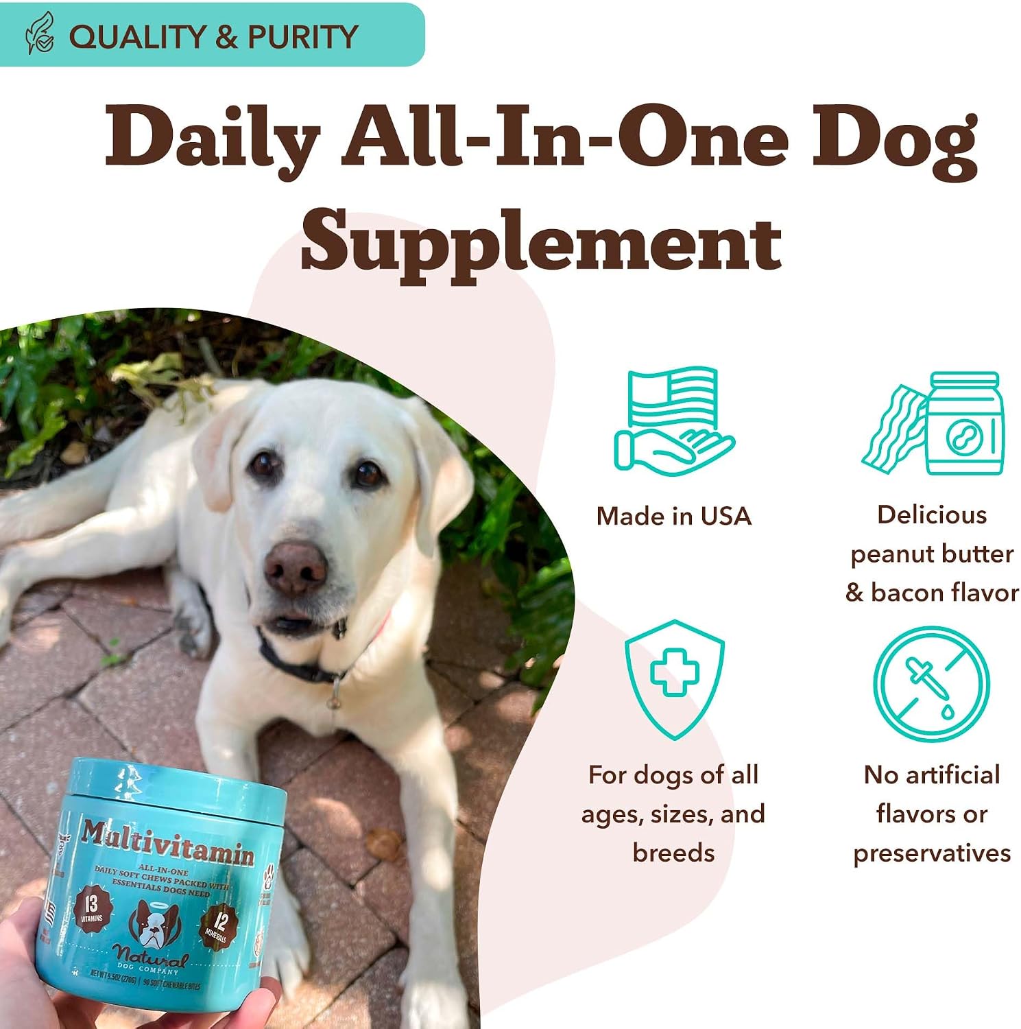 Natural Dog Company Multivitamínico 25 en 1 para Perros – Masticables Blandos Formulados por Veterinarios, 180 unidades