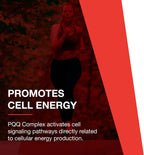 PROTOCOL FOR LIFE BALANCE PQQ Complex - Con CoQ10, L-Carnitina y Vitamina B - 30 Cápsulas Veganas