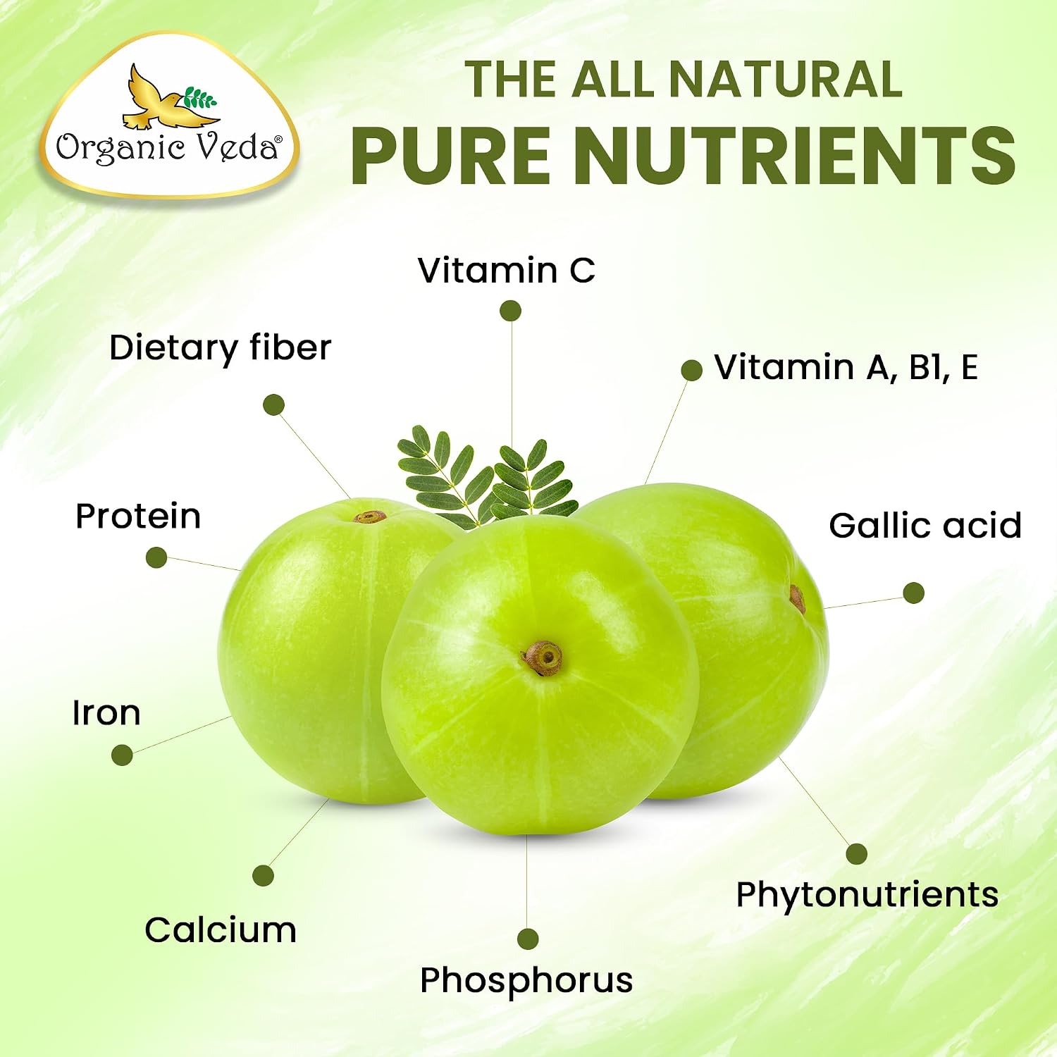 Organic Veda Amla Cápsulas - 1500mg, 300 Cápsulas - Suplemento Natural de Vitamina C con Antioxidantes