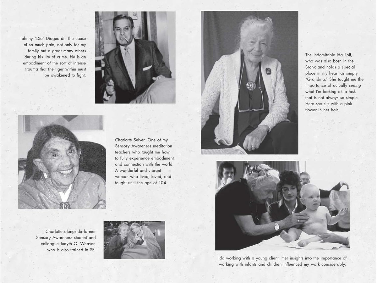 An Autobiography of Trauma: A Healing – Profesionales de la salud mental: psicólogos, psiquiatras, terapeutas – Image 5
