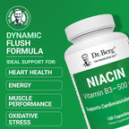 Dr. Berg Niacina de Alta Potencia 500 mg – 125 mg por Cápsula para Construir Tolerancia al Flush – 100 Cápsulas