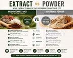 Complejo de Hongos para Perros y Gatos – 25%+ Beta-Glucanos – Mezcla de Extractos de Cuerpos Fructíferos (Cola de Pavo, Reishi, Maitake, Shiitake) – Apoyo Inmunitario y Digestivo – Sin Micelio, Sin Rellenos – 250 Servicios