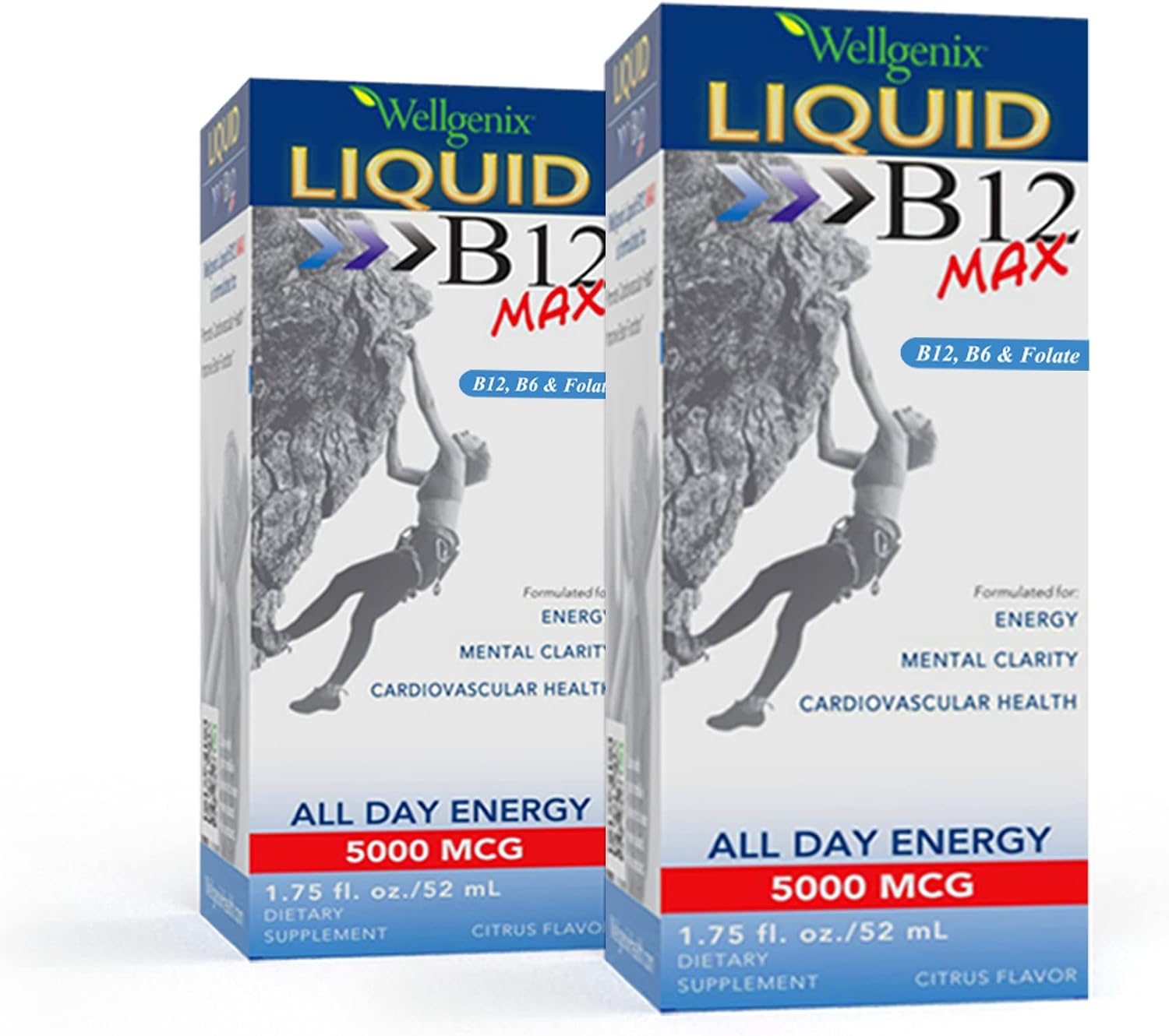 Wellgenix B12 Max Líquido - Vitamina B6, B12 y Folato - Alta Absorción - Salud Cardiovascular, Claridad Mental, Aumento de Energía y Pérdida de Peso - 1,75 oz, 2 Pack