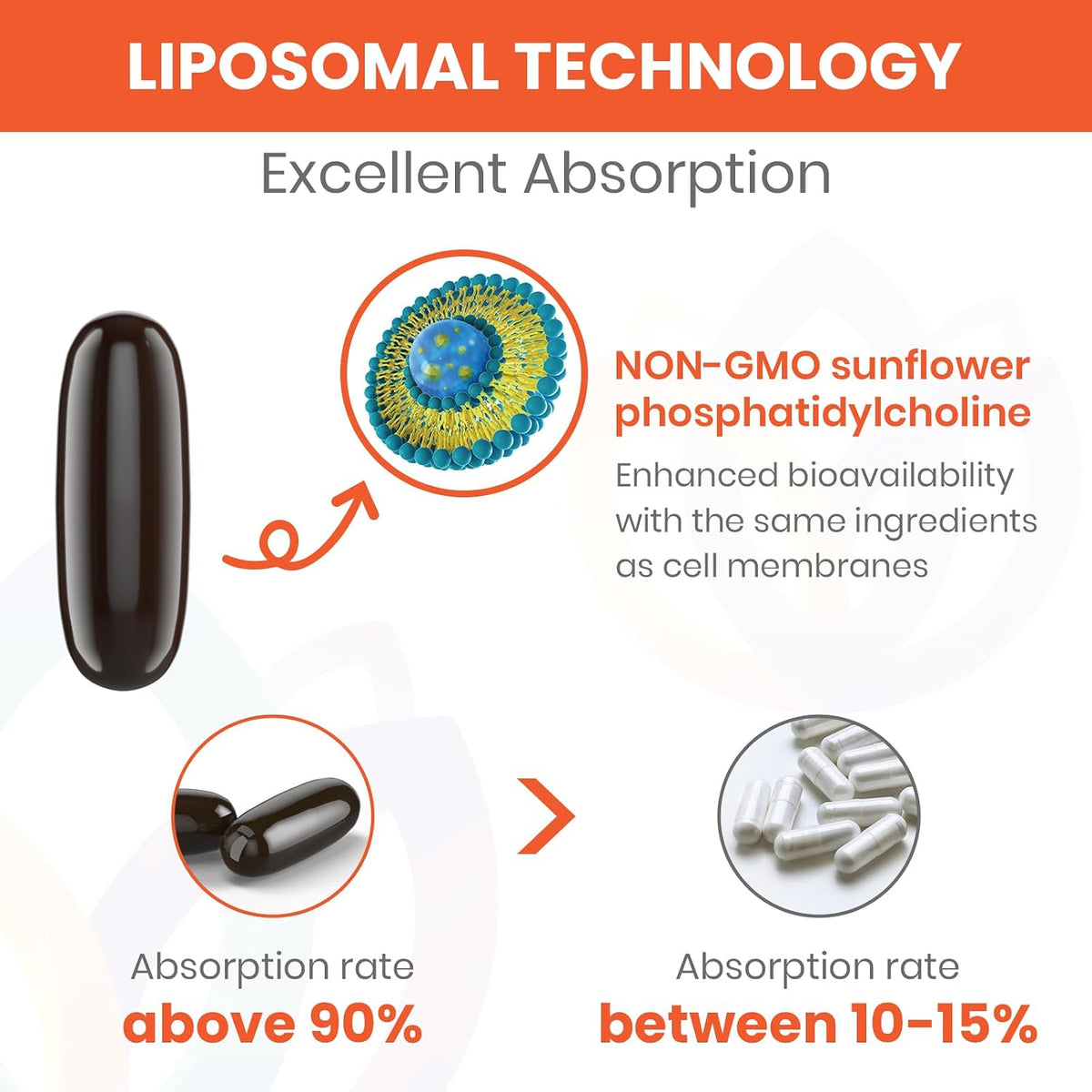 Fisetina 1500mg con Liposomas - 120 Cápsulas Blandas - Sharoaid – Image 3