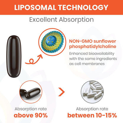 Fisetina 1500mg con Liposomas - 120 Cápsulas Blandas - Sharoaid – Image 3