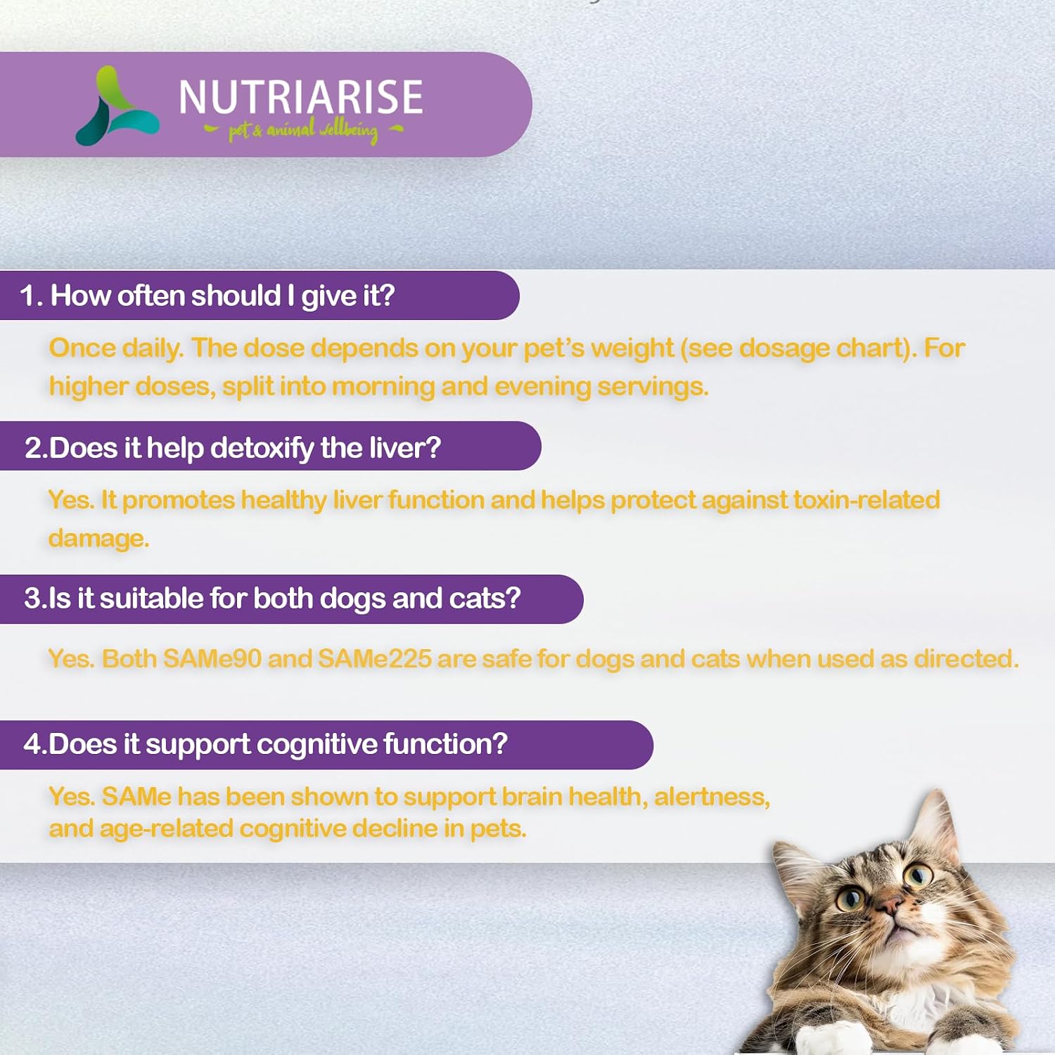 Same for Dogs – Suplemento Hepático Avanzado con Milk Thistle