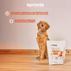 K9Power Puppy Gold 3lb – Suplemento para Cachorros