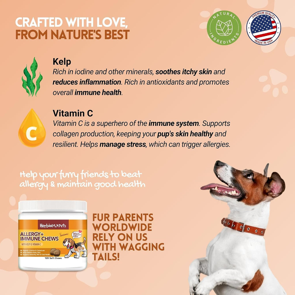 Herbion Pets Allergy + Immune Chews con Kelp y Vitamina C, 120 Masticables Blandos, Sabor Vegetal Natural, para Perros de 12 Semanas o Más