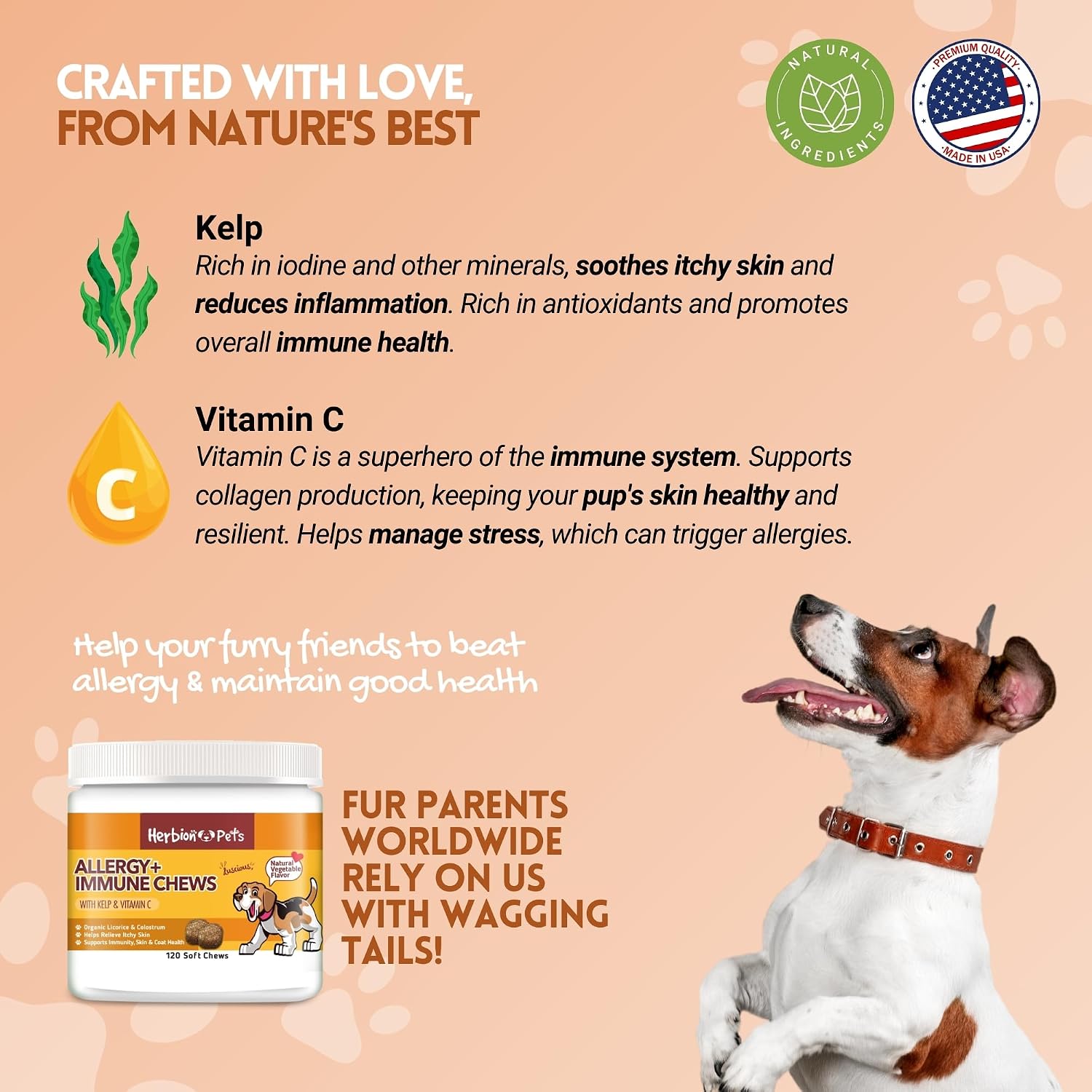 Herbion Pets Allergy + Immune Chews con Kelp y Vitamina C, 120 Masticables Blandos, Sabor Vegetal Natural, para Perros de 12 Semanas o Más