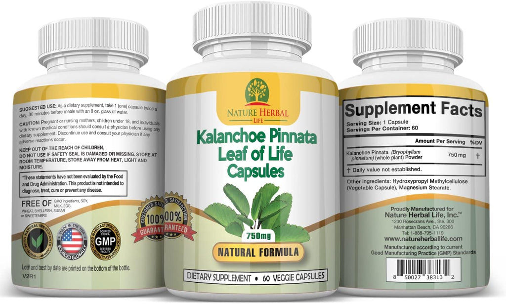 Kalanchoe Pinnata (Hoja de Vida) 750mg - 180 Cápsulas Vegetales (3 Frascos)