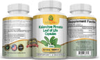 Kalanchoe Pinnata (Hoja de Vida) 750mg - 180 Cápsulas Vegetales (3 Frascos)