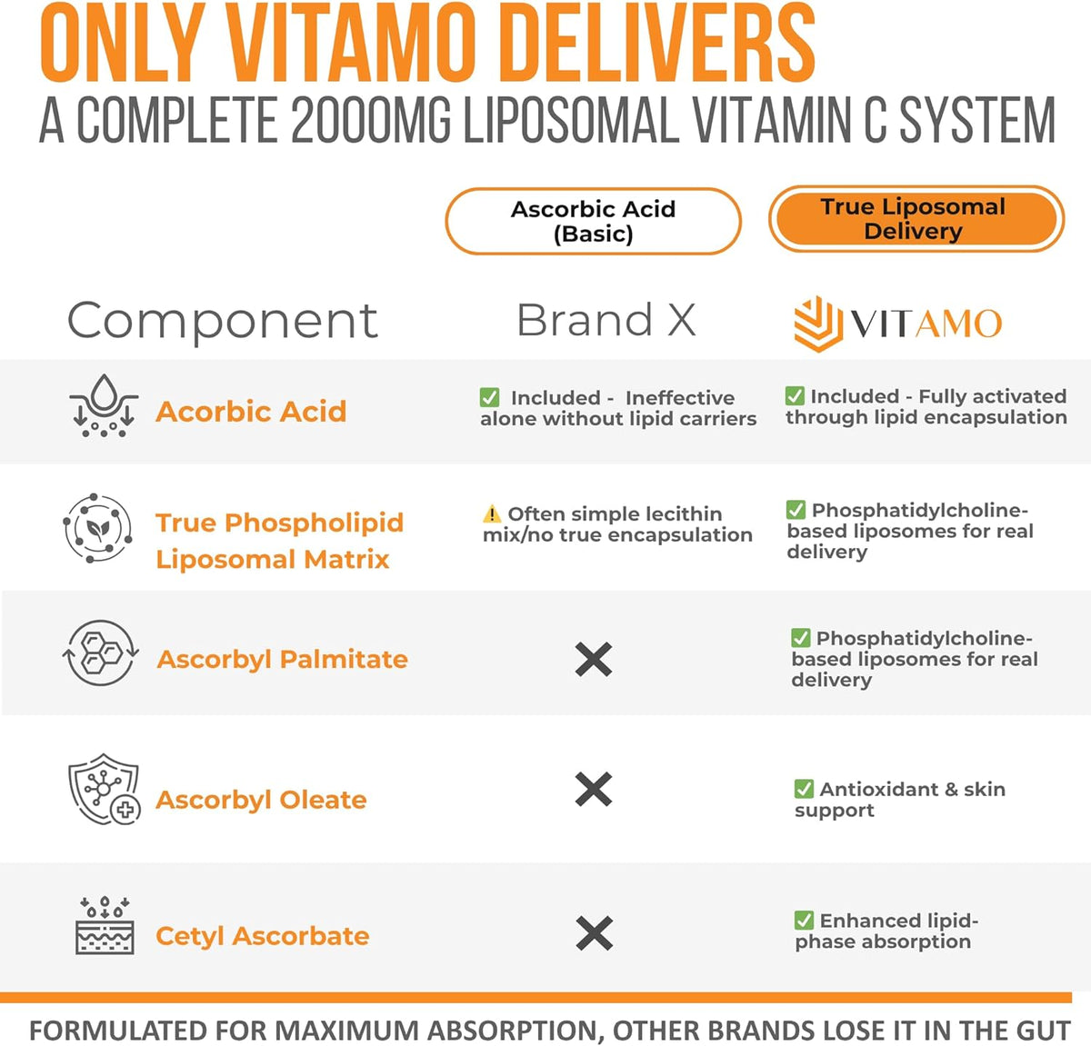 ALMO Vitamina C Liposomal 2000mg - 300 – Contribuye a la formación normal de colágeno para el funcionamiento – Image 3