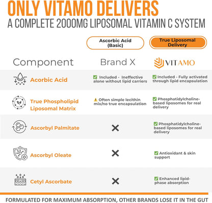 ALMO Vitamina C Liposomal 2000mg - 300 – Contribuye a la formación normal de colágeno para el funcionamiento – Image 3