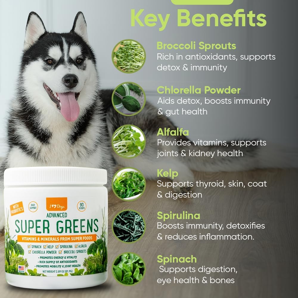 iHeartDogs Super Greens para Perros con Brotes de Brócoli y Espirulina - Polvo de Apoyo Inmunológico y Alergias Estacionales