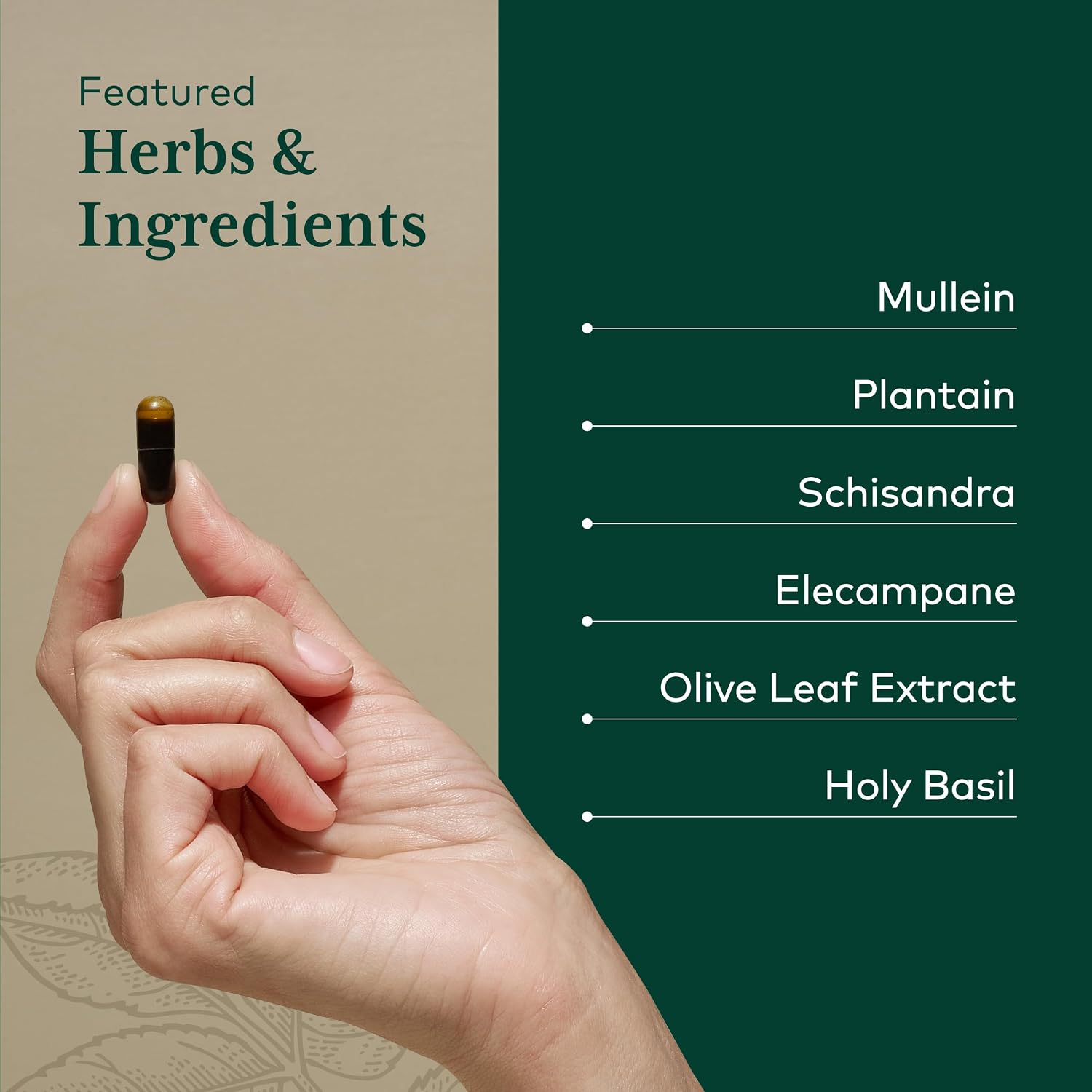 GAIA HERBS PRO Fórmula Pulmonar Diaria - Apoyo a la Salud Respiratoria - Suplemento con Hoja de Gordolobo, Raíz de Malvavisco y Más - Vegano, Sin Gluten, Sin Soja - 60 Cápsulas Líquidas