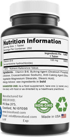 Brieofood Vitamina B6 100 mg 250 Comprimidos