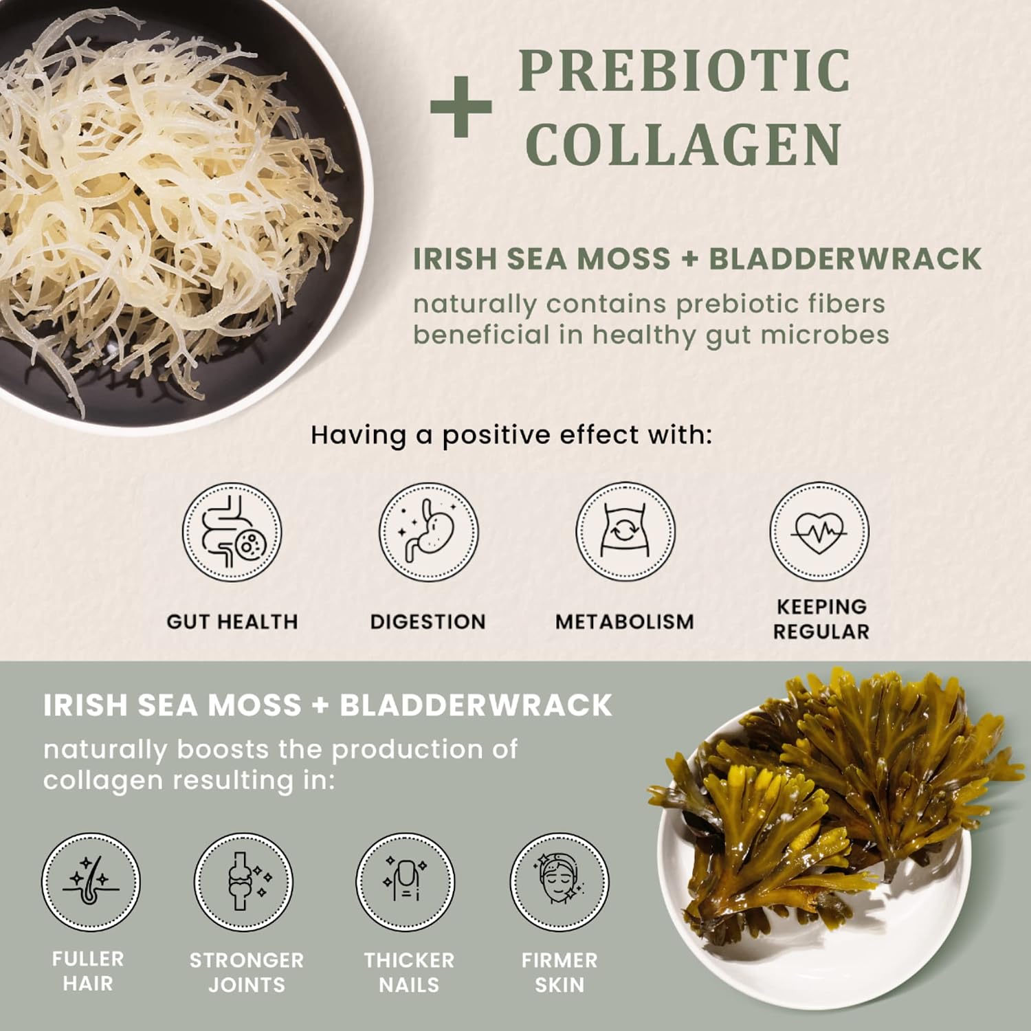 Irish Sea Moss Capsules with Burdock Root & Bladderwrack