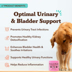 Natural Dog Company Suplemento Urinario y de Vejiga para Perros – Arándano Rojo, D-Manosa, Malvavisco y Astrágalo, Snacks Blandos, 90 uds.