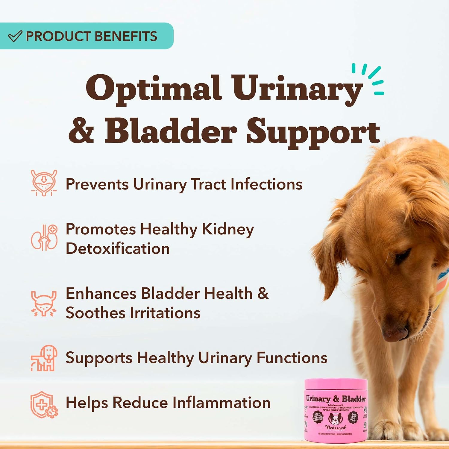 Natural Dog Company Suplemento Urinario y de Vejiga para Perros – Arándano Rojo, D-Manosa, Malvavisco y Astrágalo, Snacks Blandos, 90 uds.