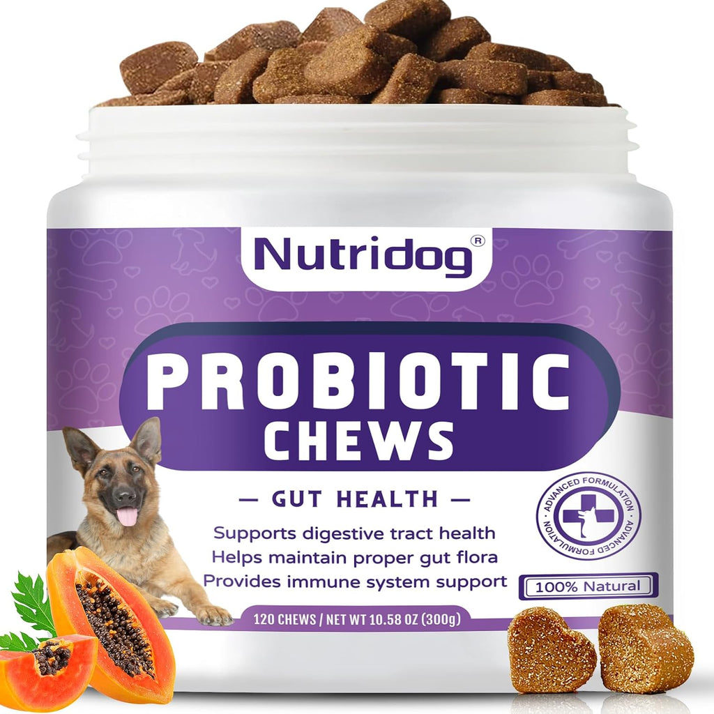 Nutridog Masticables Probióticos para Perros 120 uds – 6.000 millones UFC, 6 cepas, con Postbióticos EpiCor y Fibra de Calabaza – Sabor a Pato