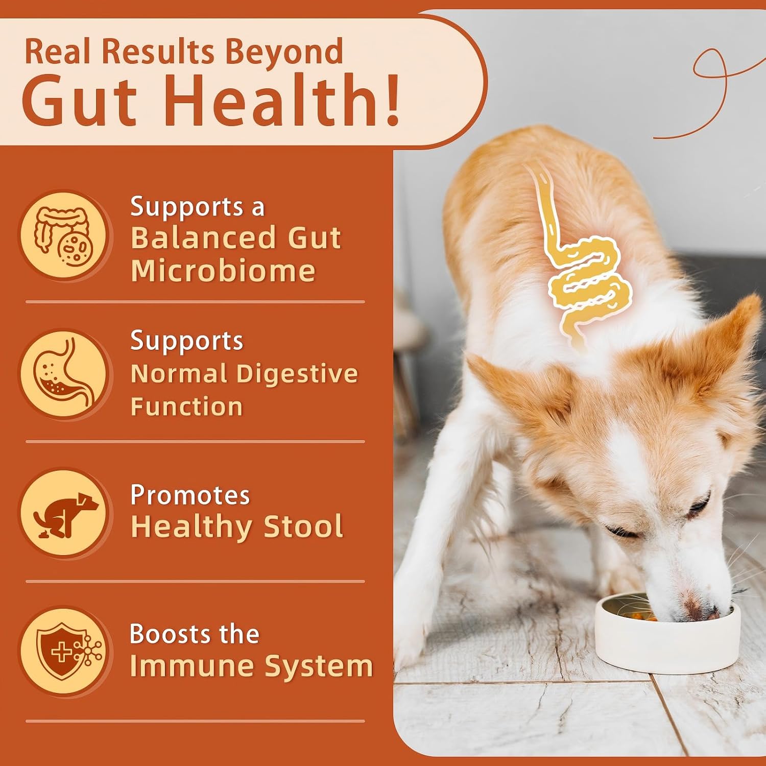 ZEBORA Probióticos para Perros - Masticables de Calabaza para Salud Digestiva e Inmunidad, 120 unidades