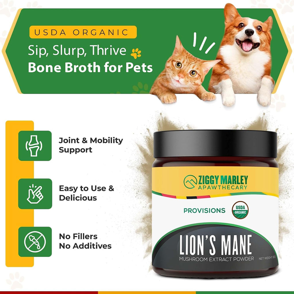Polvo de Melena de León Orgánico para Perros y Gatos – Apoyo Cognitivo – Extracto de Cuerpo Fructífero Orgánico USDA, 45 Dosis
