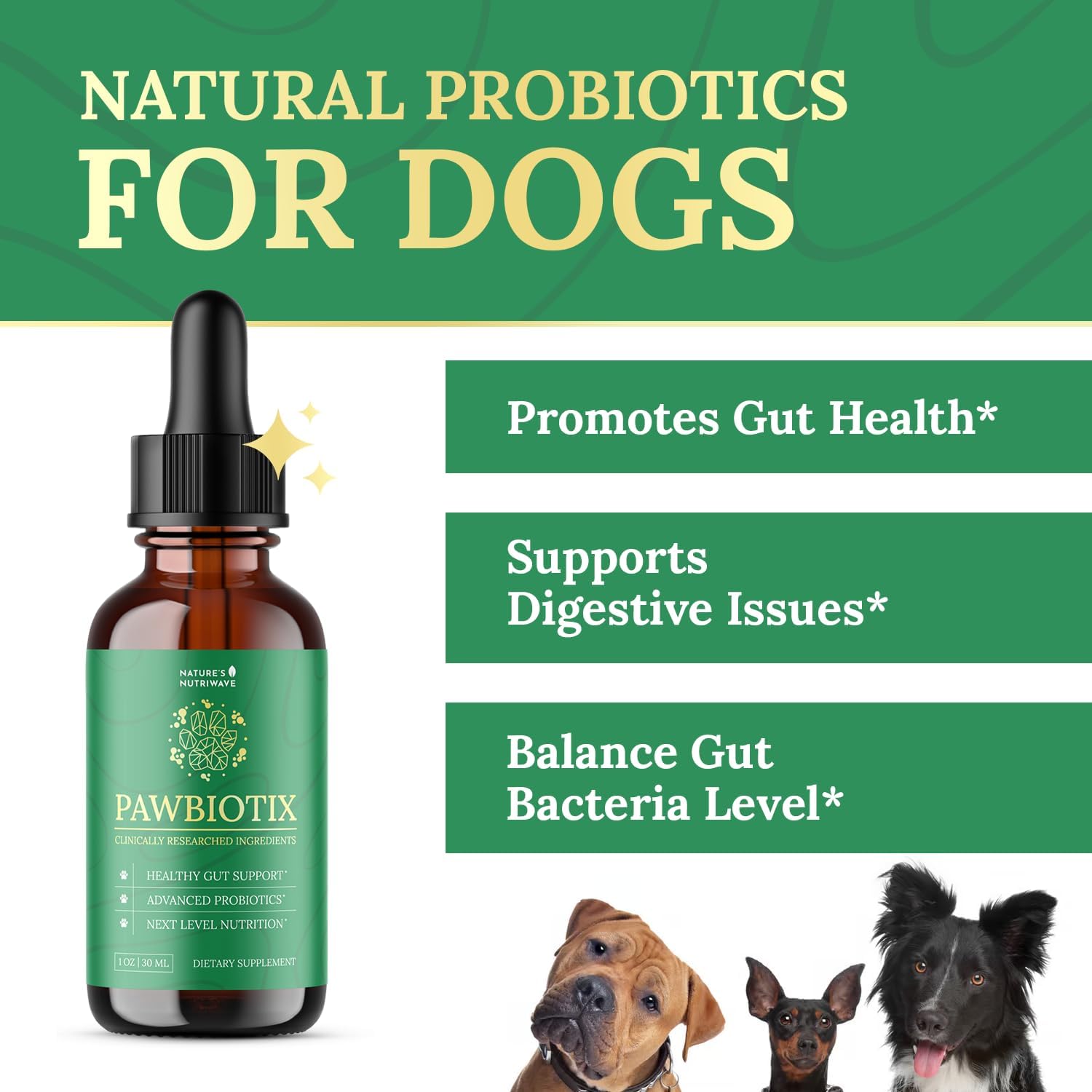 Pawbiotix Probióticos Líquidos para Perros – 1 oz (Suministro para 3 Meses) – Sabor Beacon – Fórmula Original