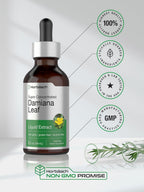 Horbäach Damiana Leaf Herb Tincture - 60 ml - Alcohol-Free Liquid Extract