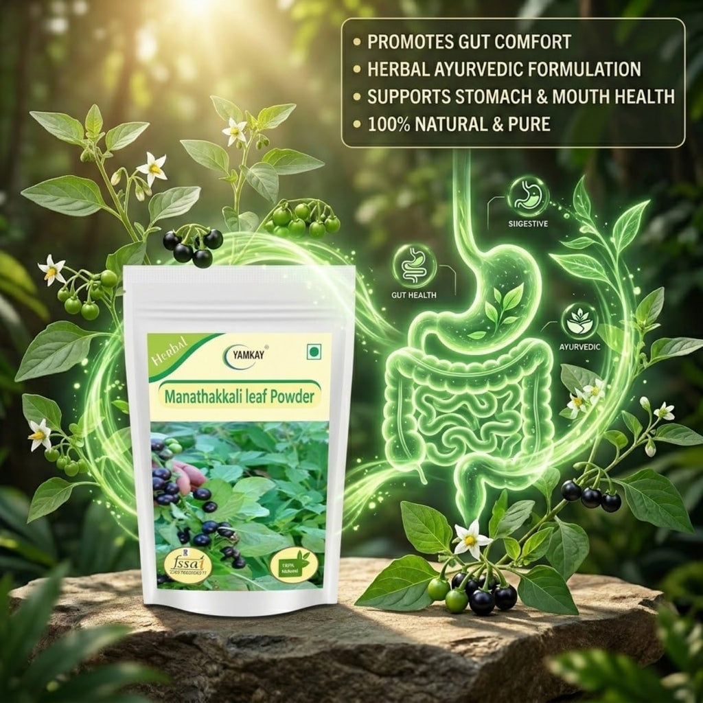YAMKAY Manathakkali Leaf Powder - Organic Solanum Nigrum | Black Nightshade Powder | 100% Natural Herbal (300g)