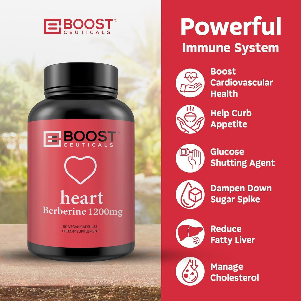 BoostCeuticals Berberina 1200mg (2 x 600mg) - Cápsulas Veganas de Berberina HCl - 60 Cápsulas – Image 5
