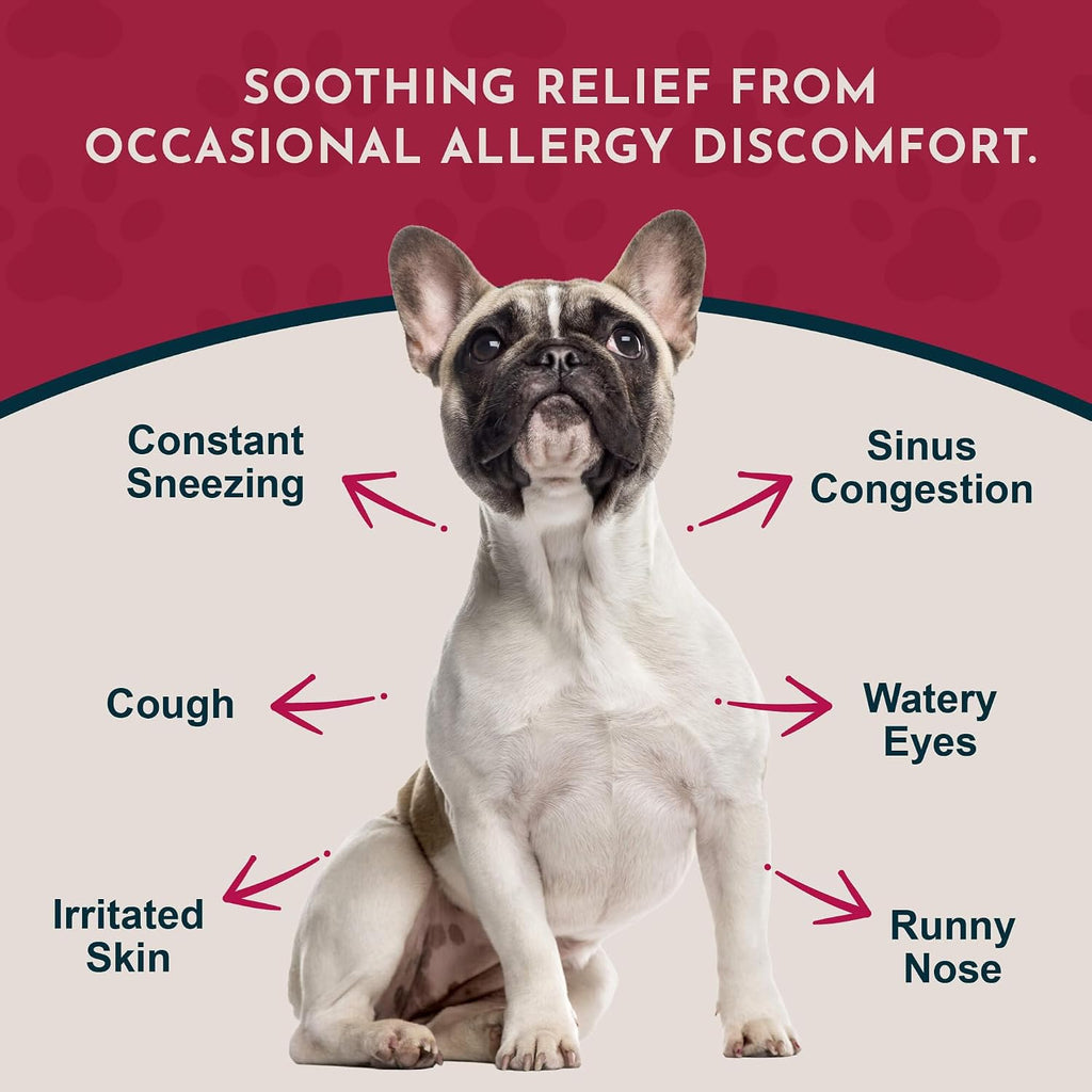 Seasonal Allergy Treatment for Dogs - Liquid Herbal Support for Dogs & Cats, Wellness Supplement for Sensitive Skin & Seasonal Comfort, Licorice Tincture, 100% Organic - 30 ml