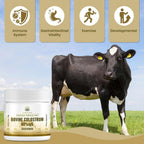 Kroppssund Calostro Bovino en Polvo 3000 mg - 65% IgG - 50 Servicios