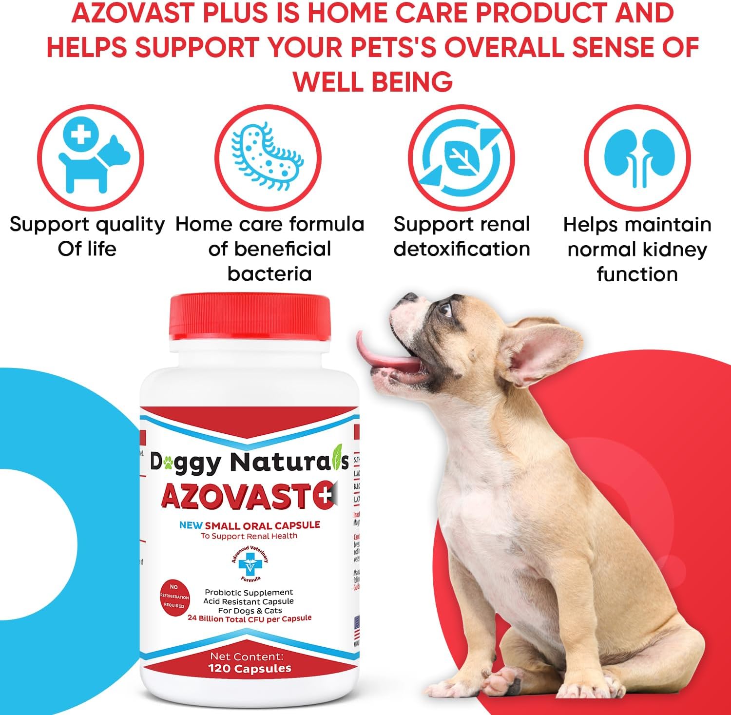 Azovast Plus Suplemento Renal para Perros y Gatos - 24 Mil Millones de UFC - Sin Refrigeración - 360 Cápsulas