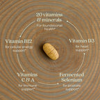 New Chapter One Daily Multivitamínico para hombre 40+ - 48 Comprimidos