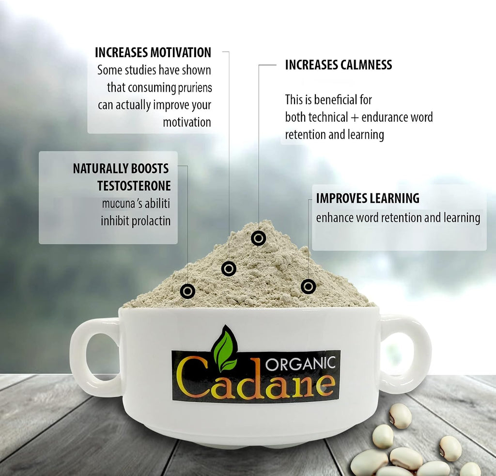 Organic Cadane Mucuna Pruriens en Polvo 1 Libra | Ayuda a la Salud Cerebral, Inmunidad y Energía | Certificado USDA Vegano