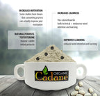 Organic Cadane Mucuna Pruriens en Polvo 1 Libra | Ayuda a la Salud Cerebral, Inmunidad y Energía | Certificado USDA Vegano
