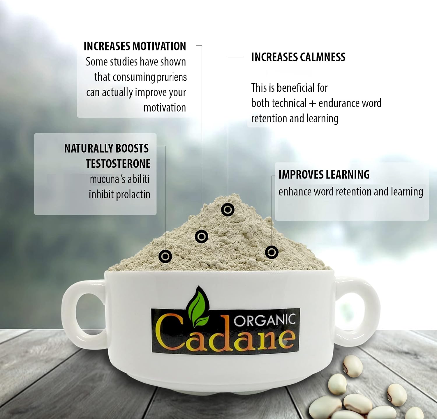 Organic Cadane Mucuna Pruriens en Polvo 1 Libra | Ayuda a la Salud Cerebral, Inmunidad y Energía | Certificado USDA Vegano