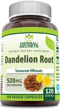 Herbal Secrets Dandelion Root Supplement | 520 mg | 120 Cápsulas Vegetales