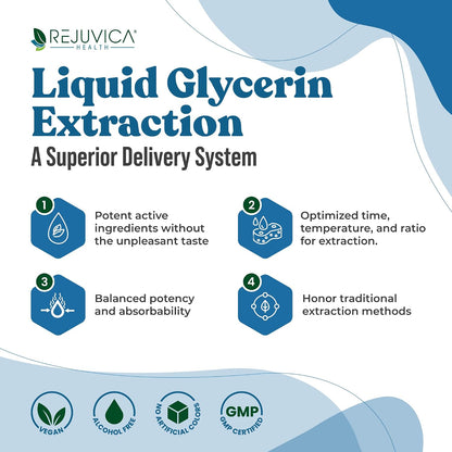 Rejuvica Health BladderPro - Suplemento de – Uva ursi (gayuba) : sus hojas contienen arbutina, un compuesto que – Image 2